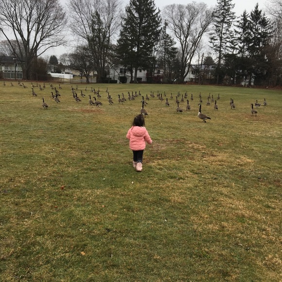 Meet your Posher, Tiffany - Picture 1 of 1